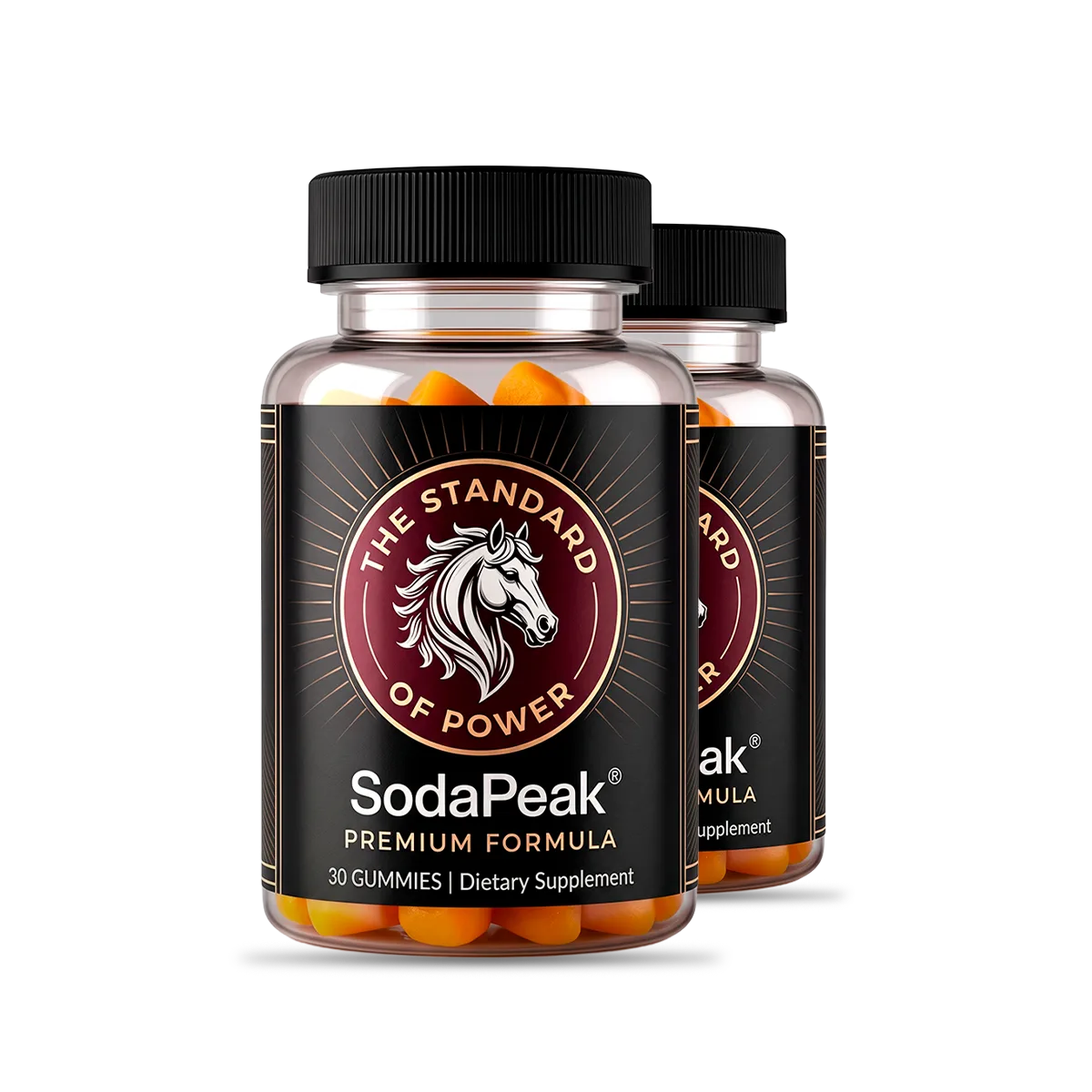 SodaPeak SodaPeak-1-bottle